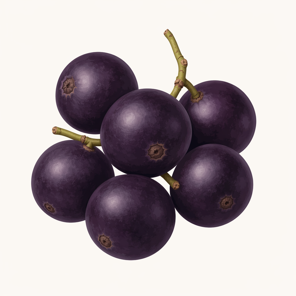 acai