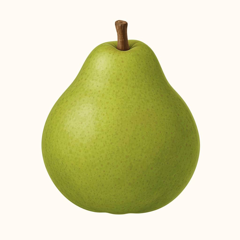 Anjou