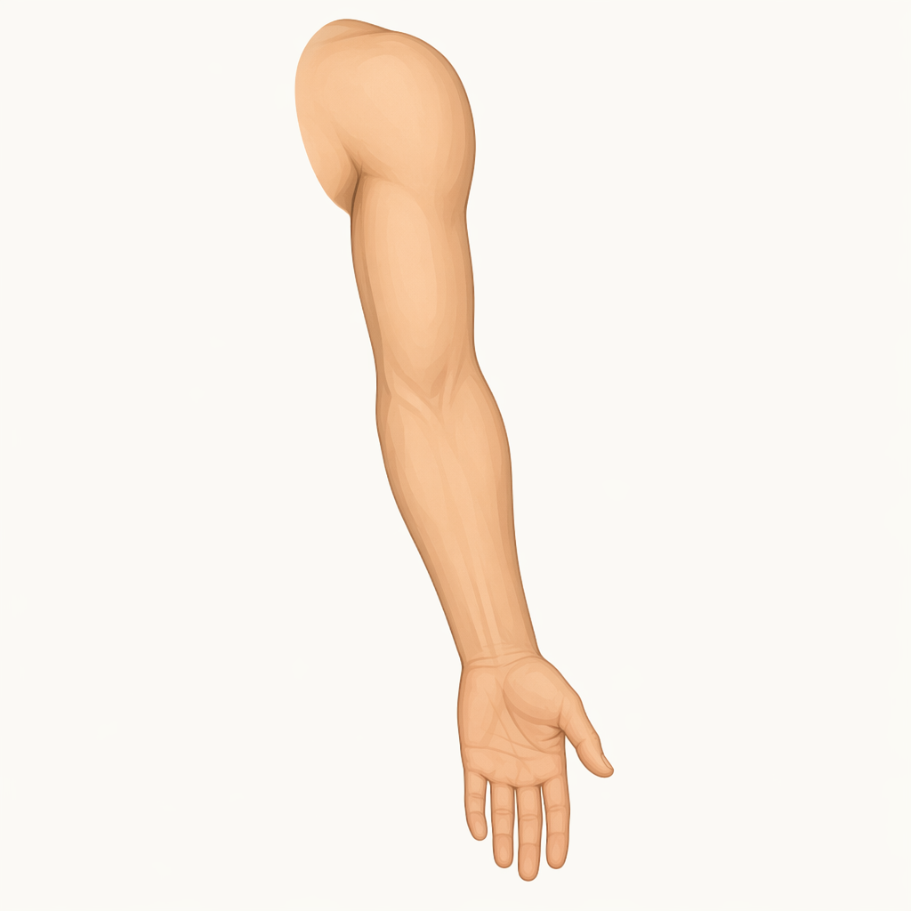 arm