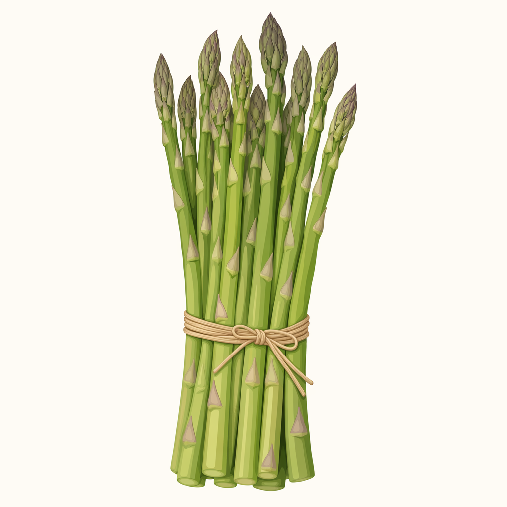 asparagus