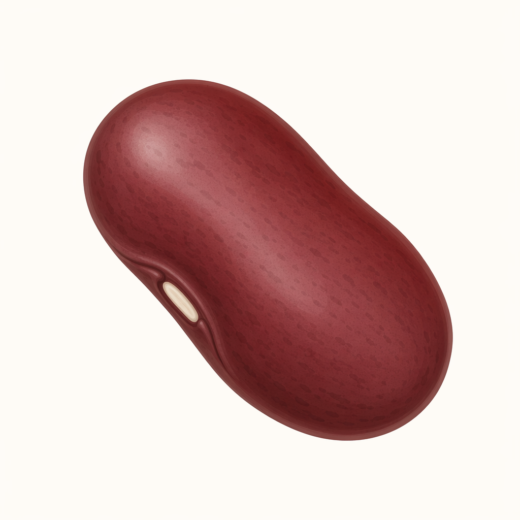 bean