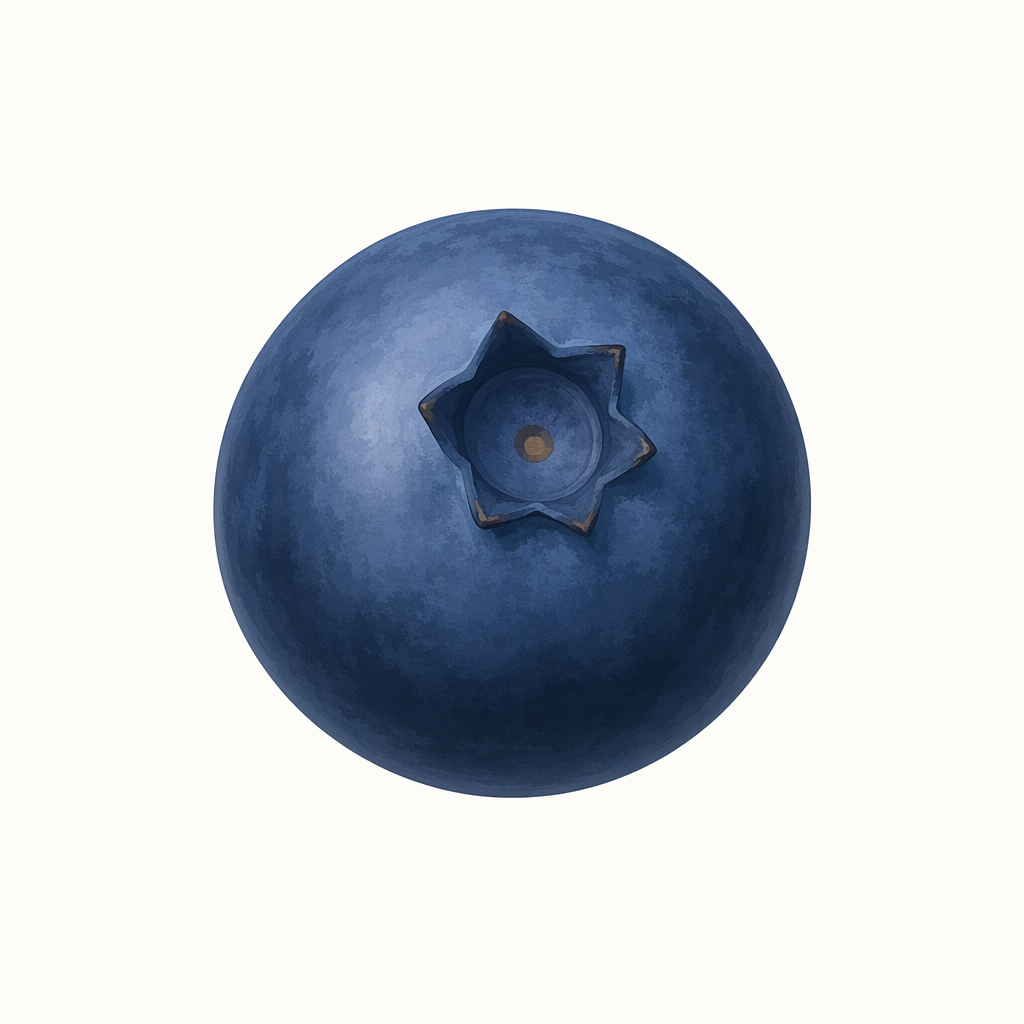 bilberry