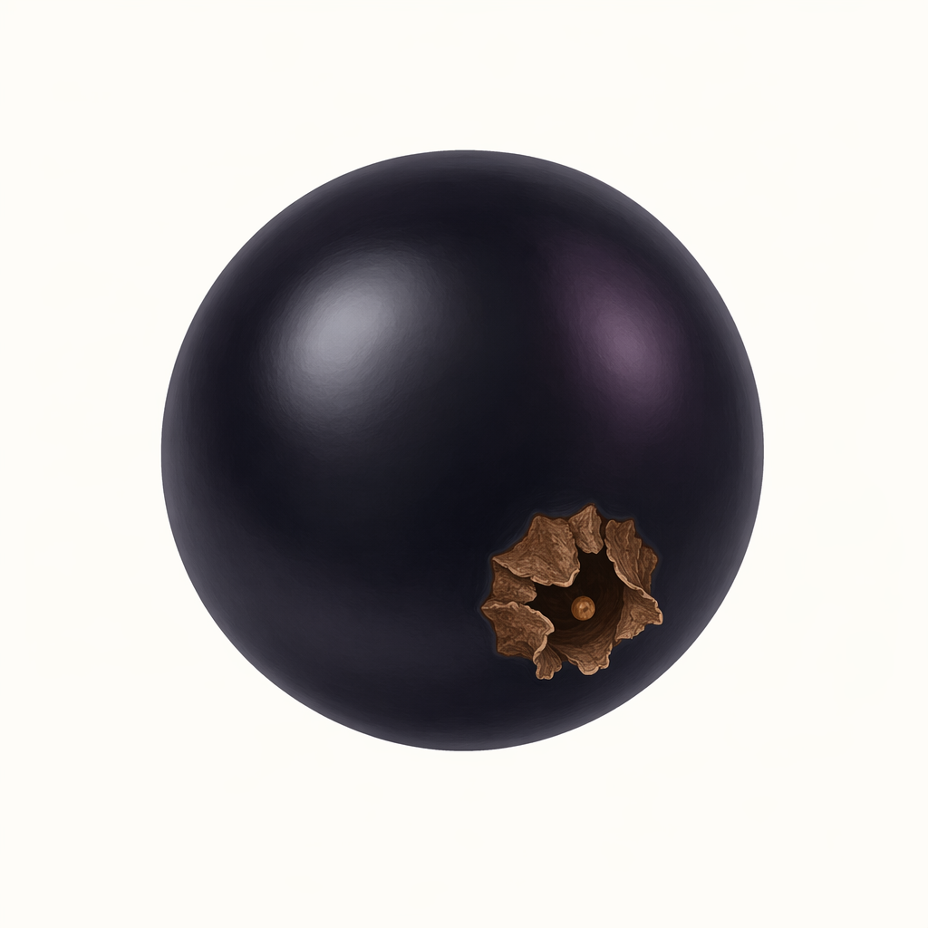 blackcurrant