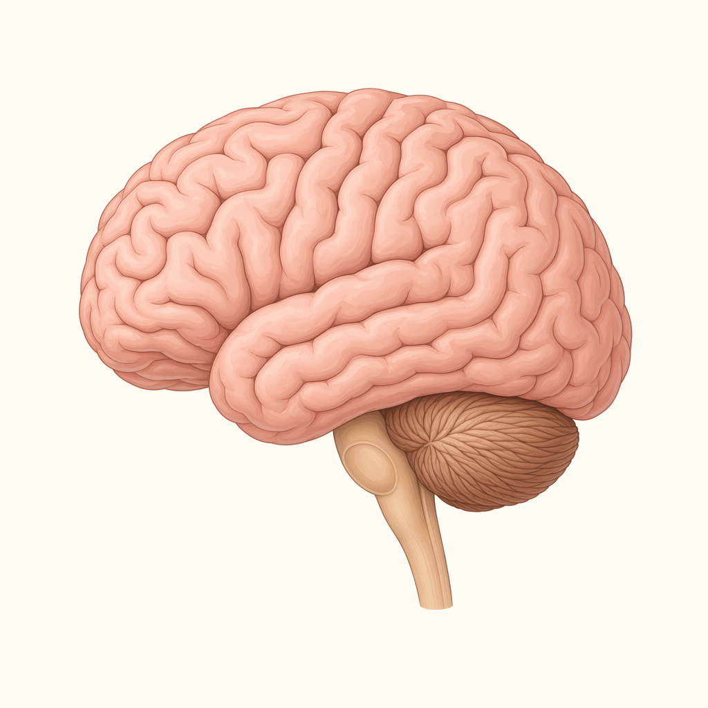brains