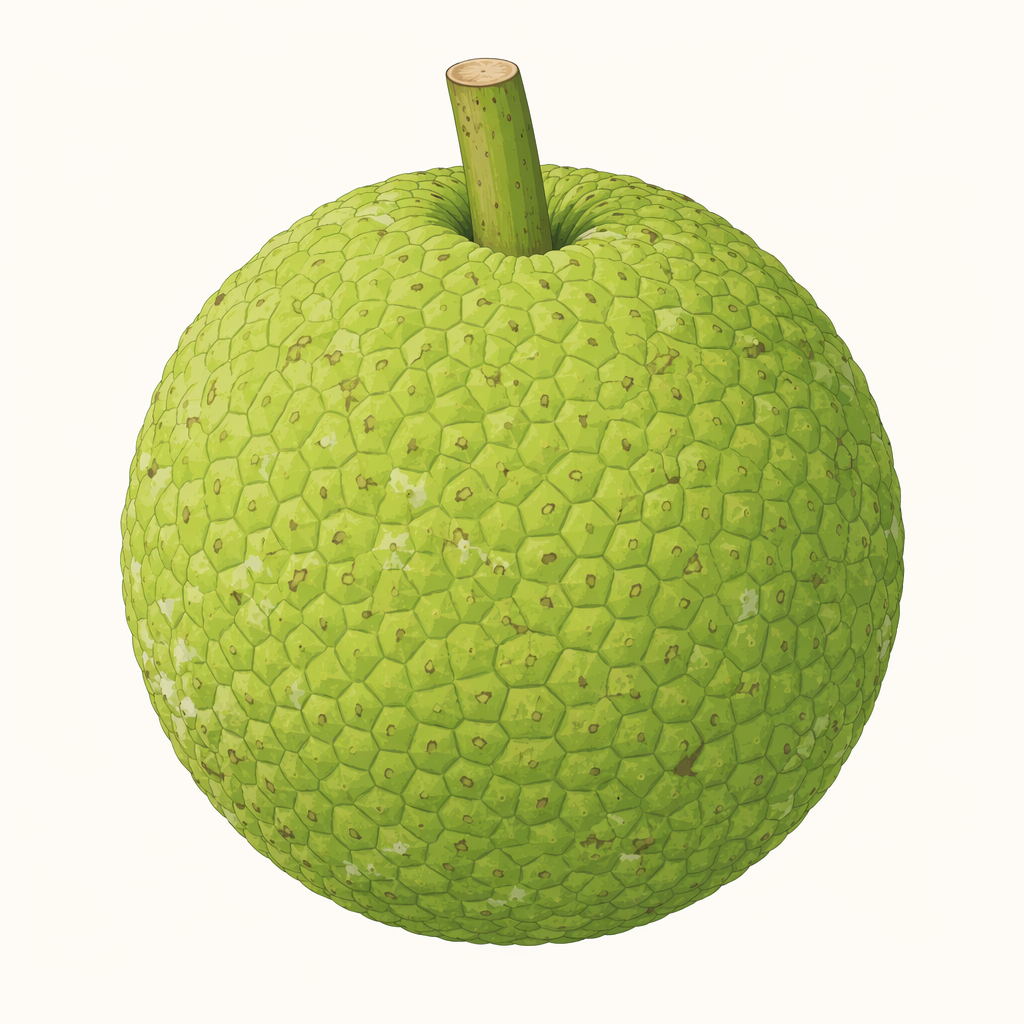 breadfruit