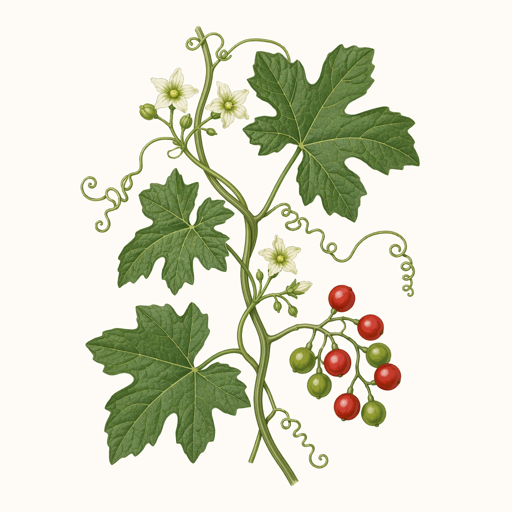 bryony