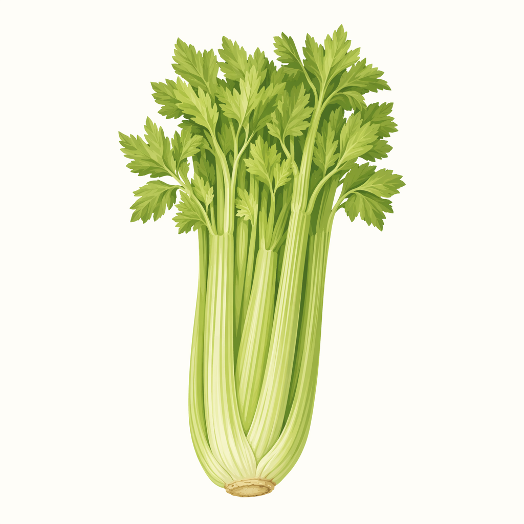 celery
