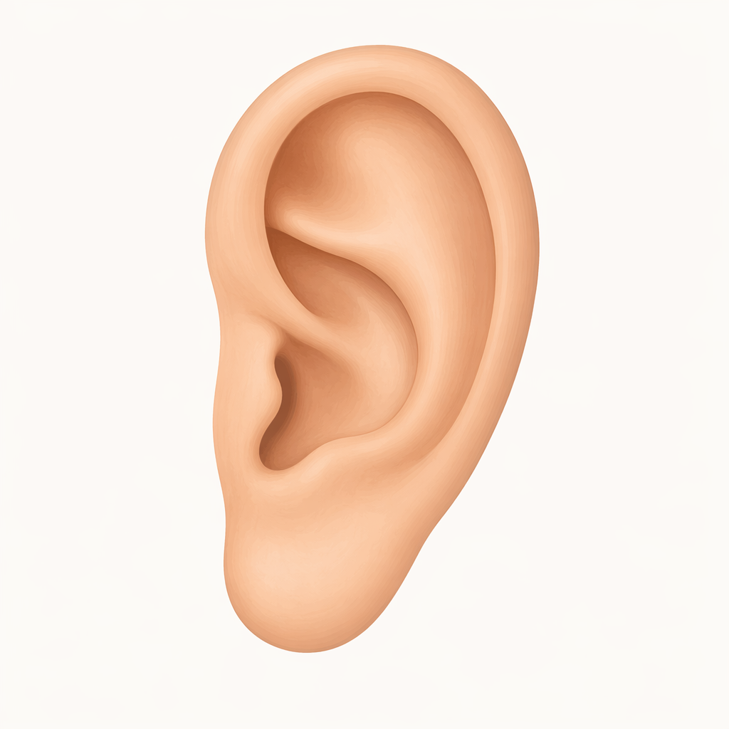 ear
