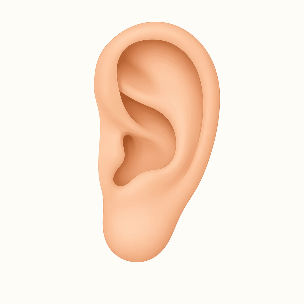 earlobe