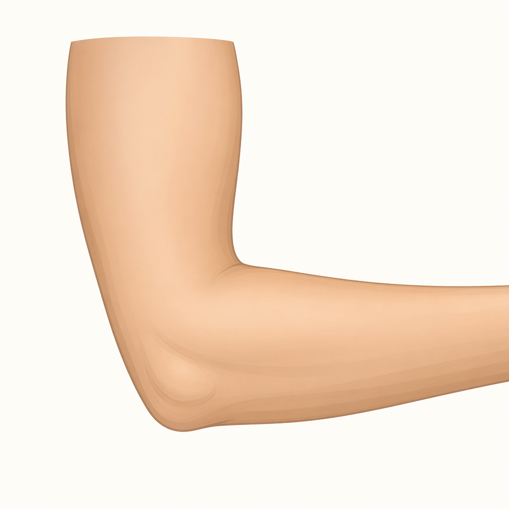 elbow
