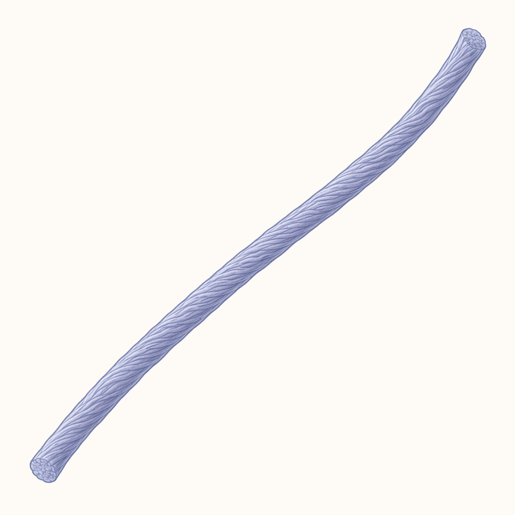 fibril