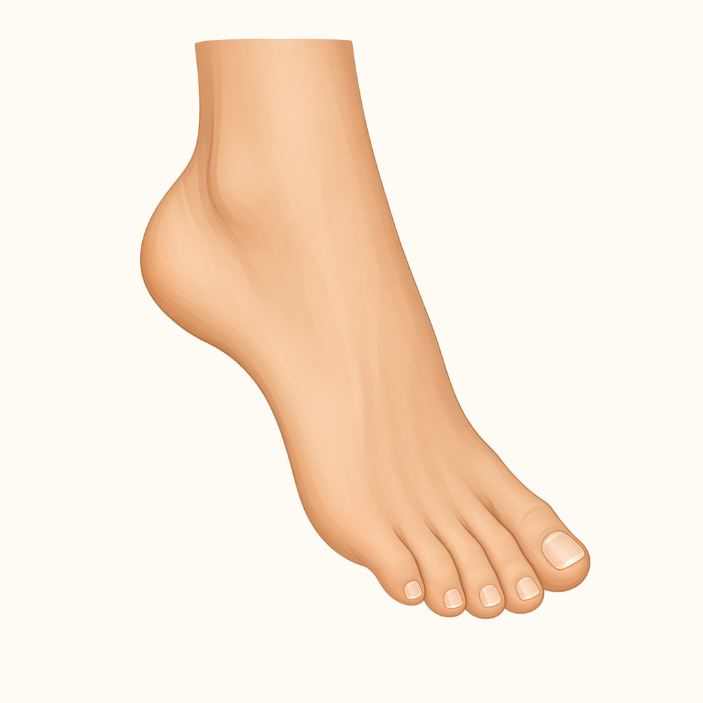 foot