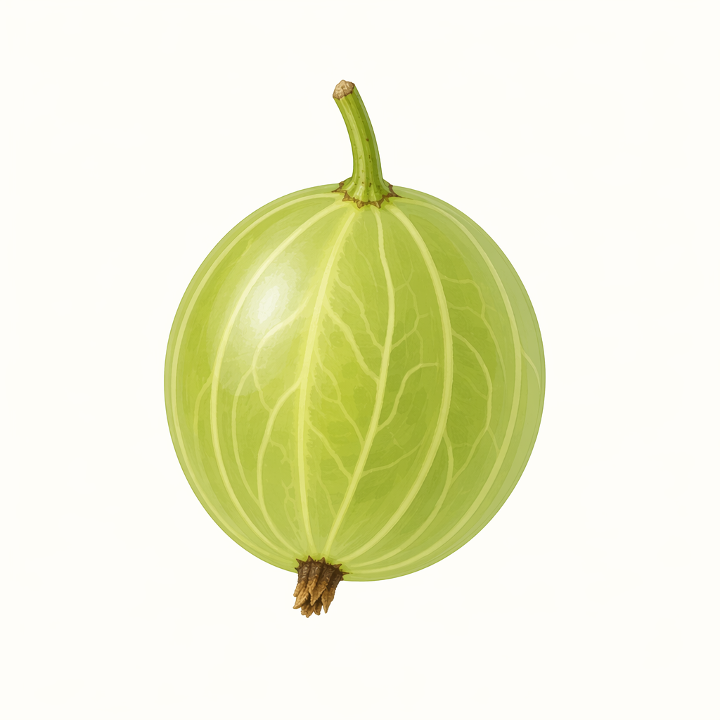 gooseberry