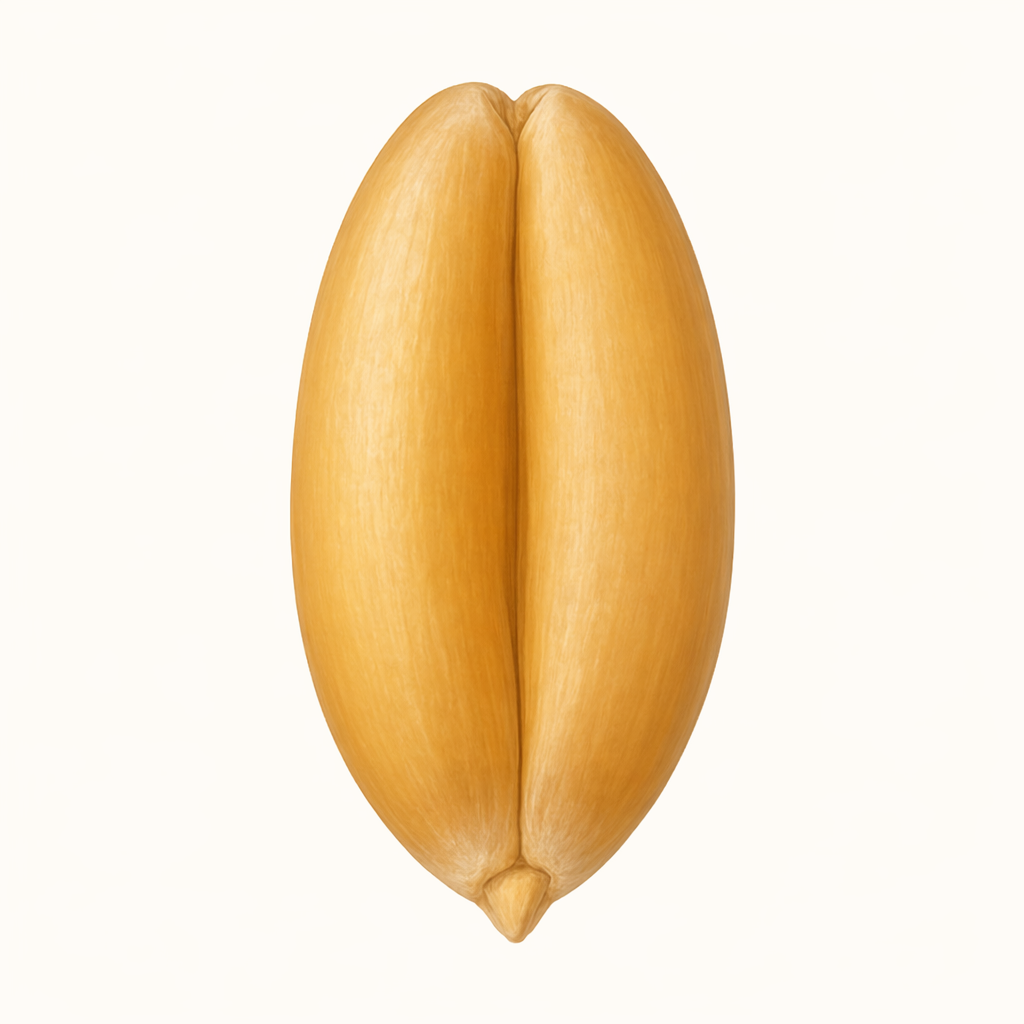 grain