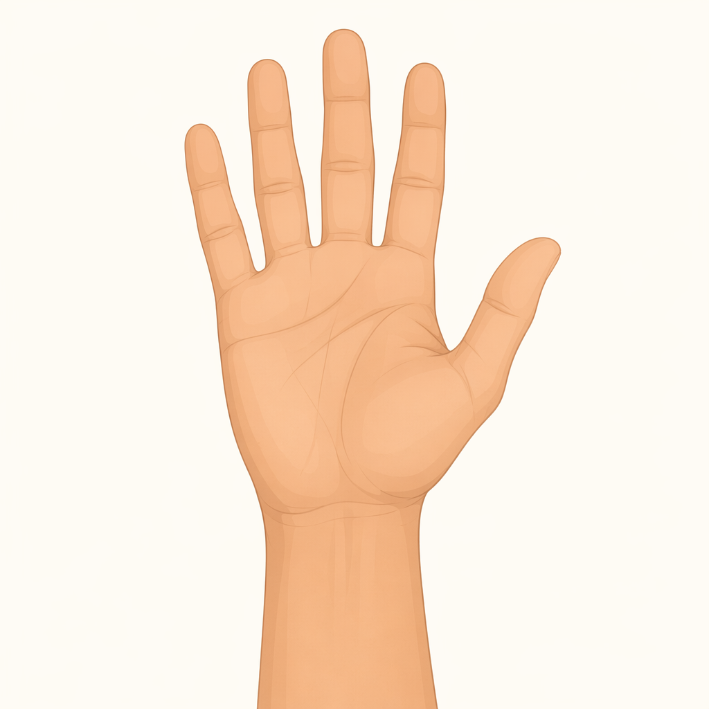 hand