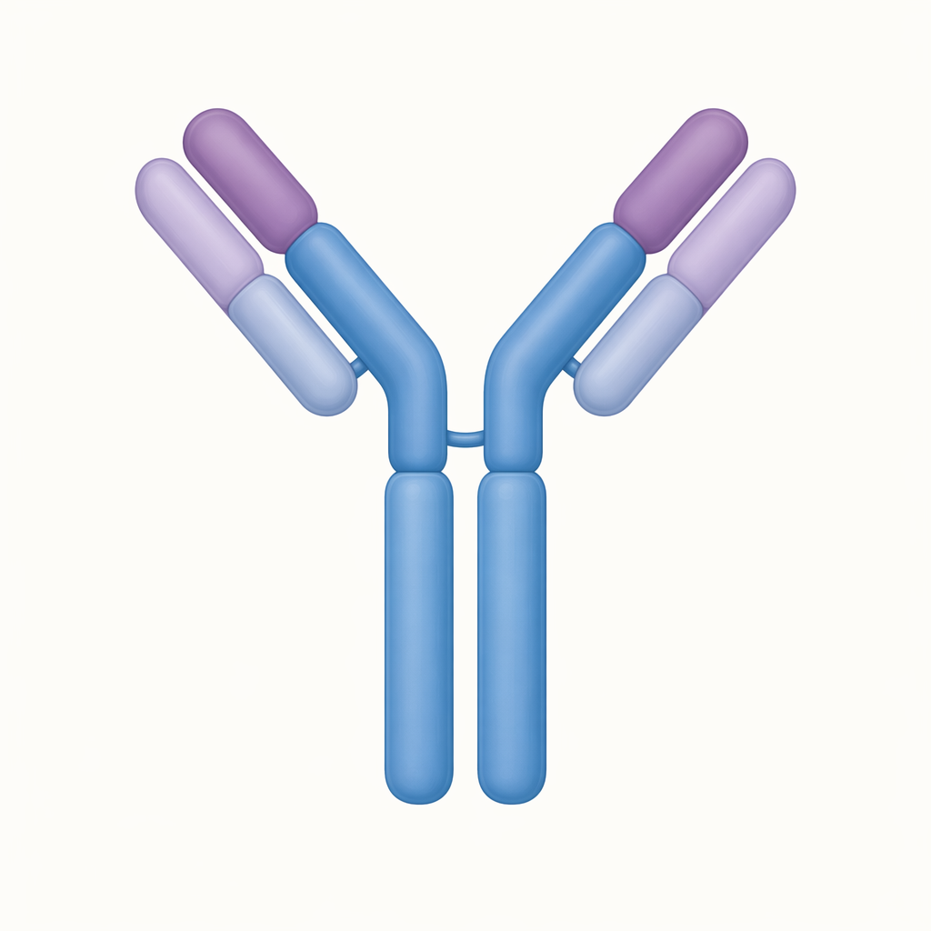 immunoglobulin
