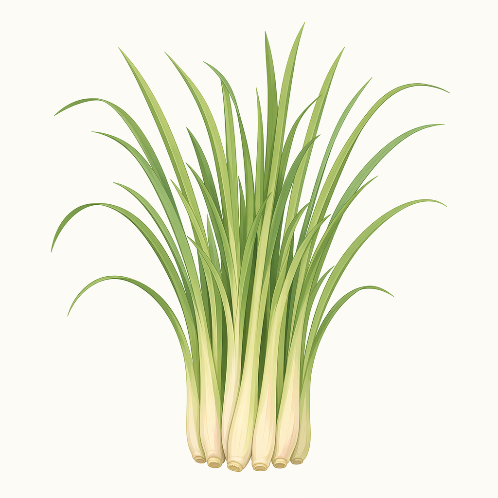 lemongrass