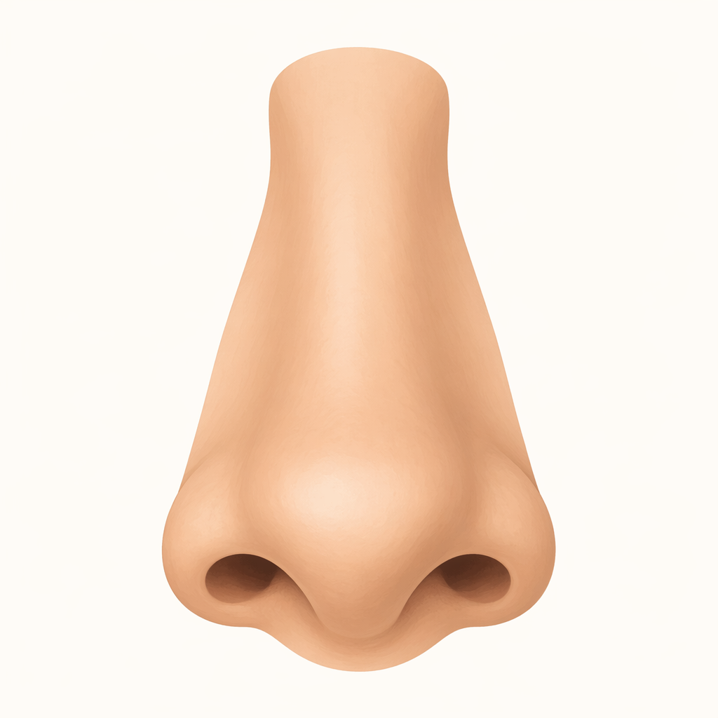 nasus