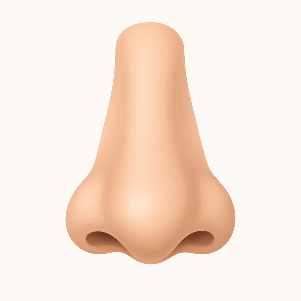 nez