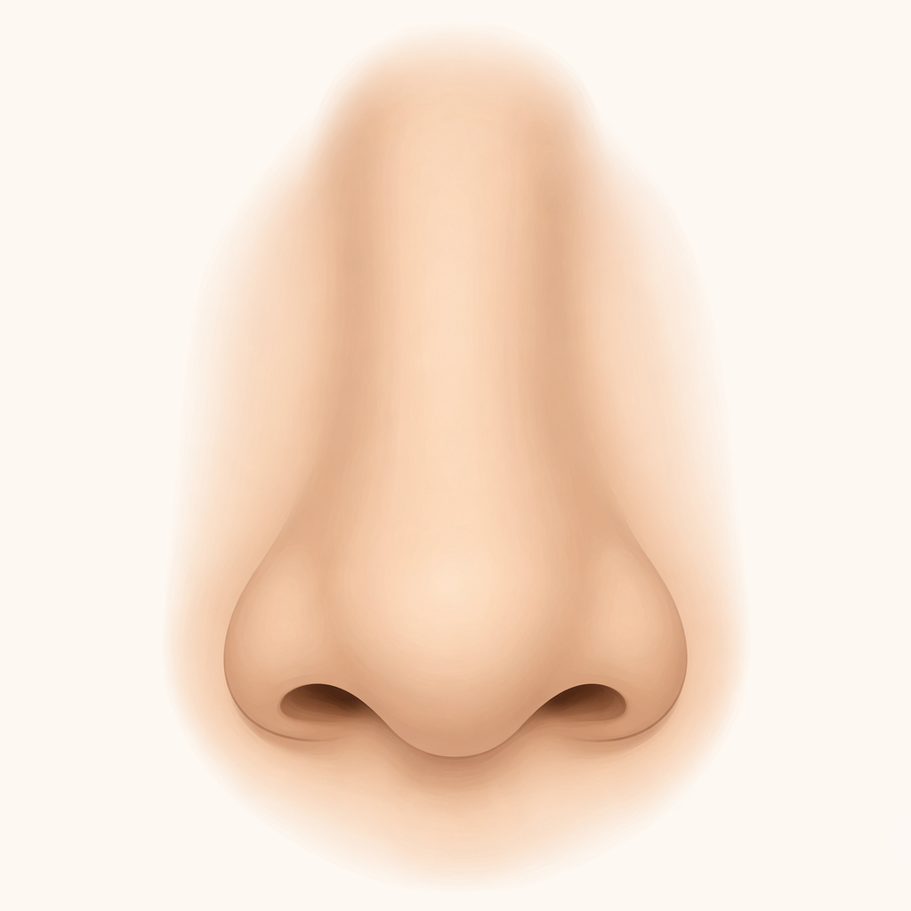 nose