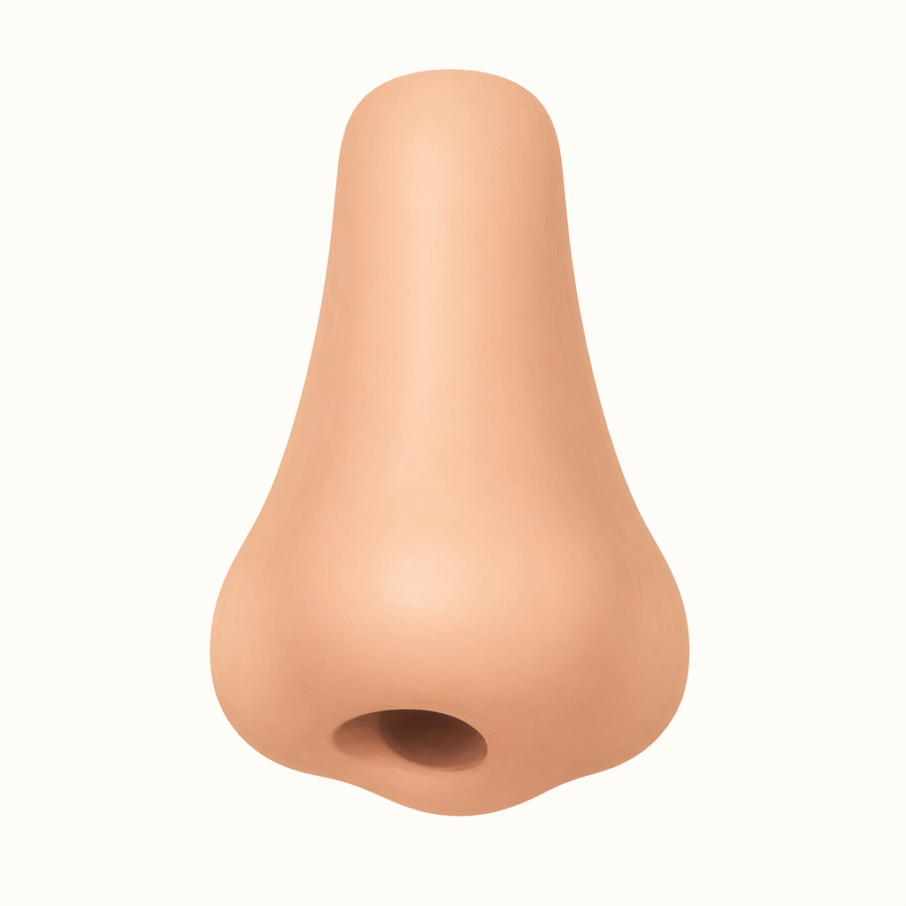nostril