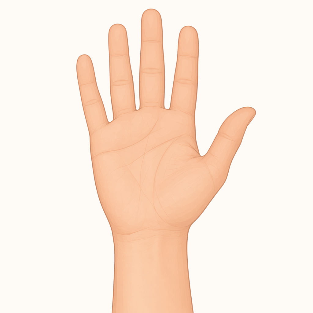 palm