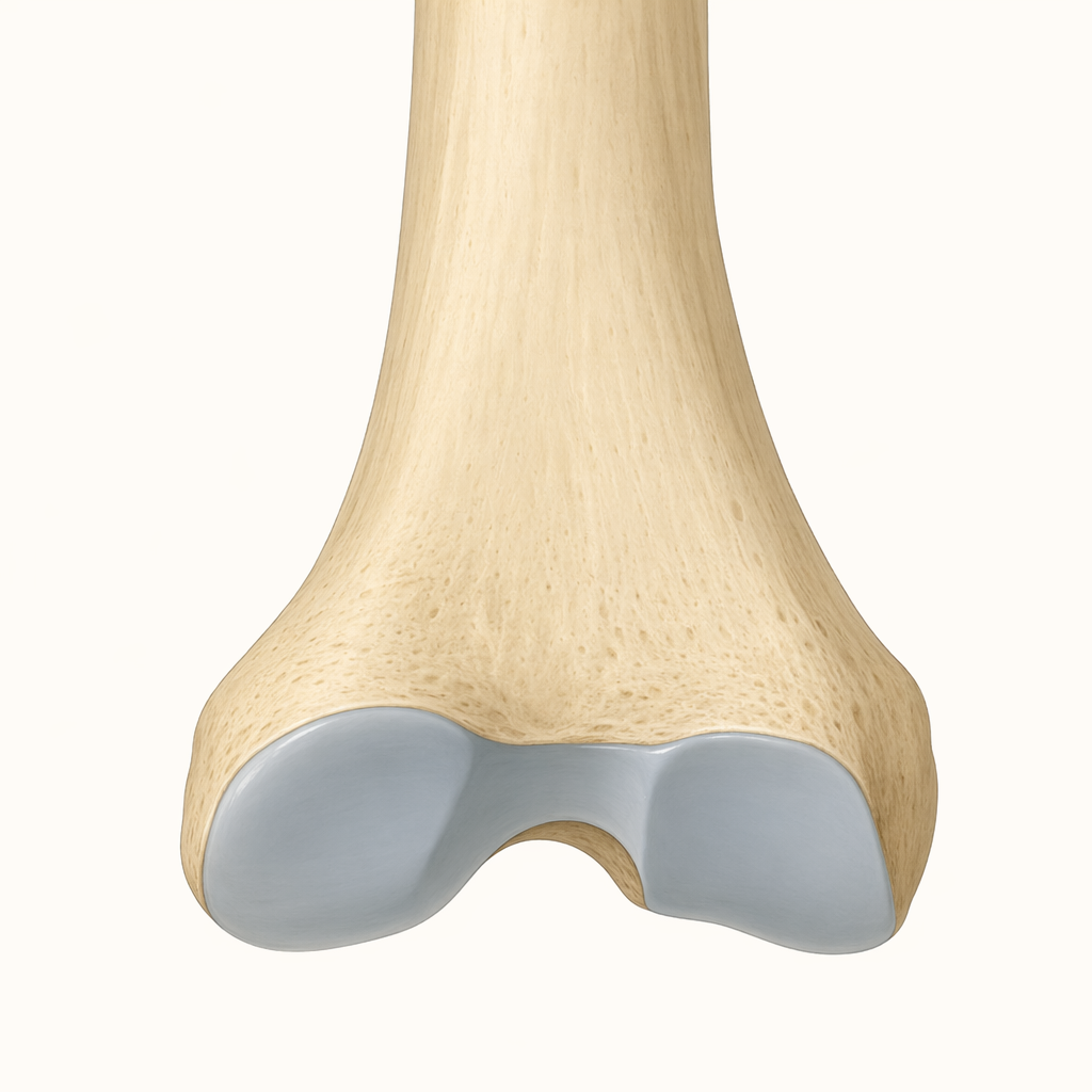 pilon