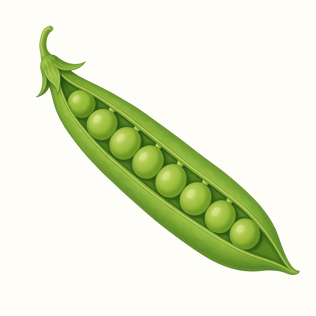 pod