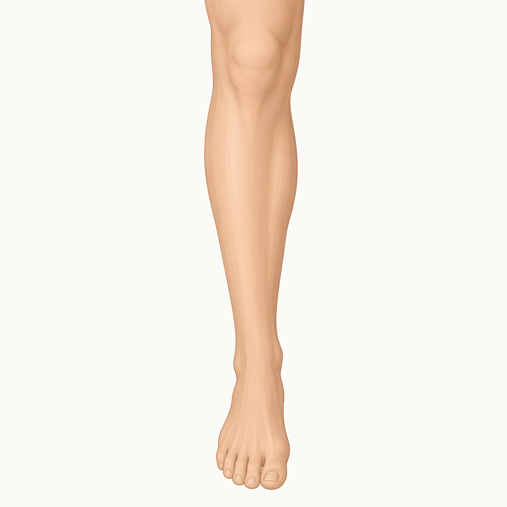 shin
