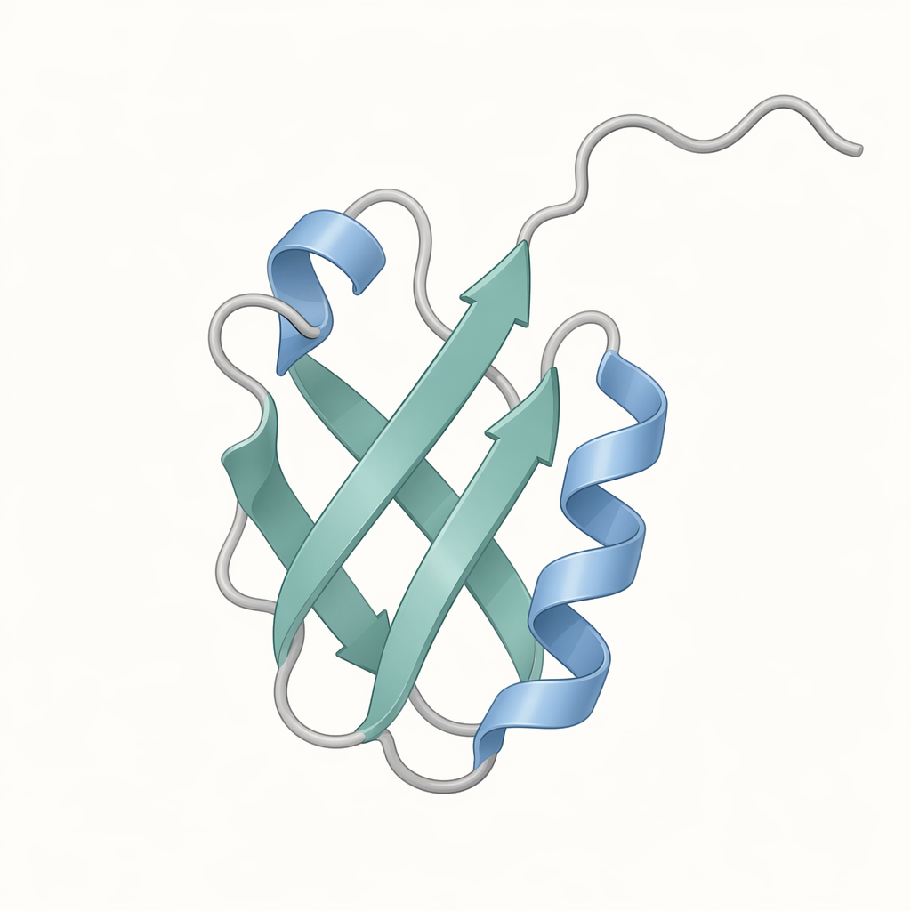 ubiquitin