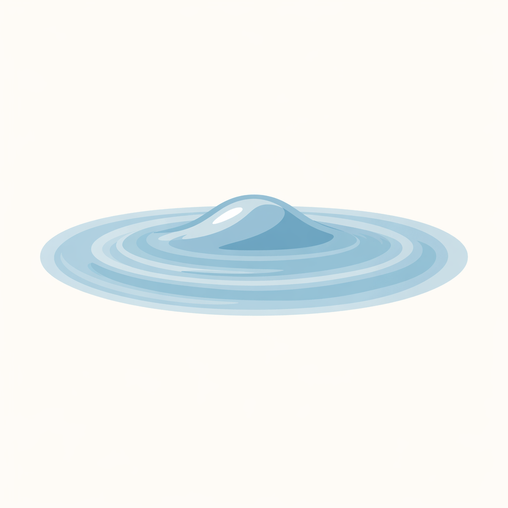 wavelet