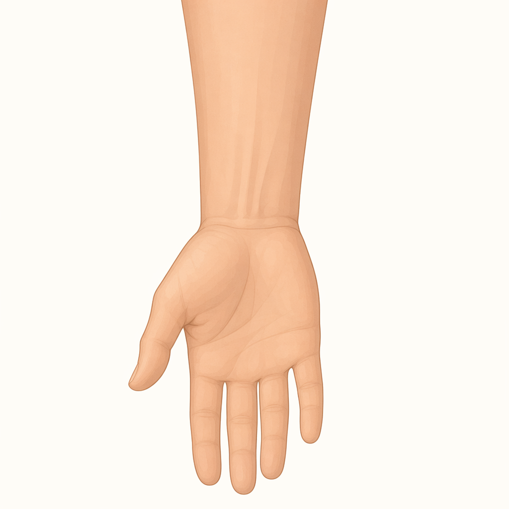 wrist